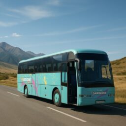 Перевозка туристов